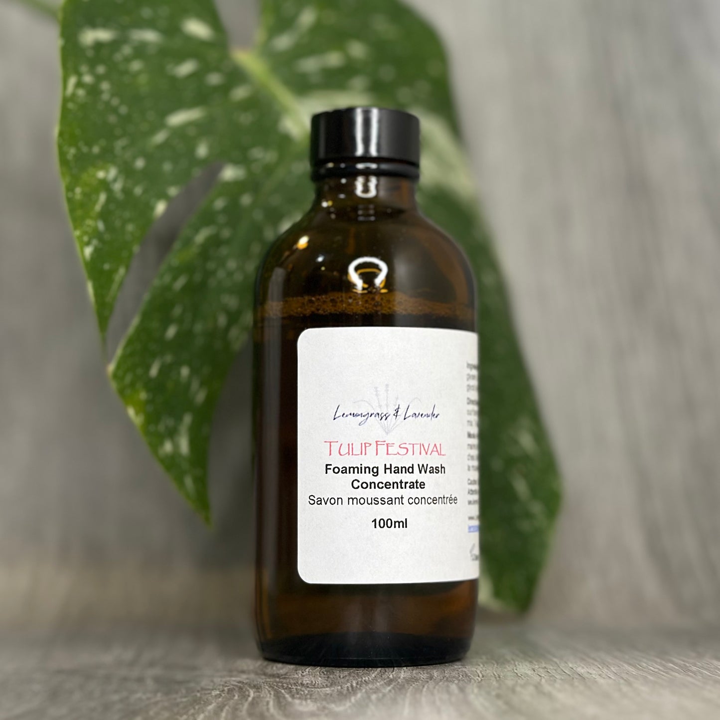 Tulip Festival Foaming Hand Wash Concentrate