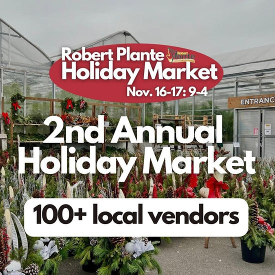 Robert Plante Holiday Market - SUNDAY ONLY